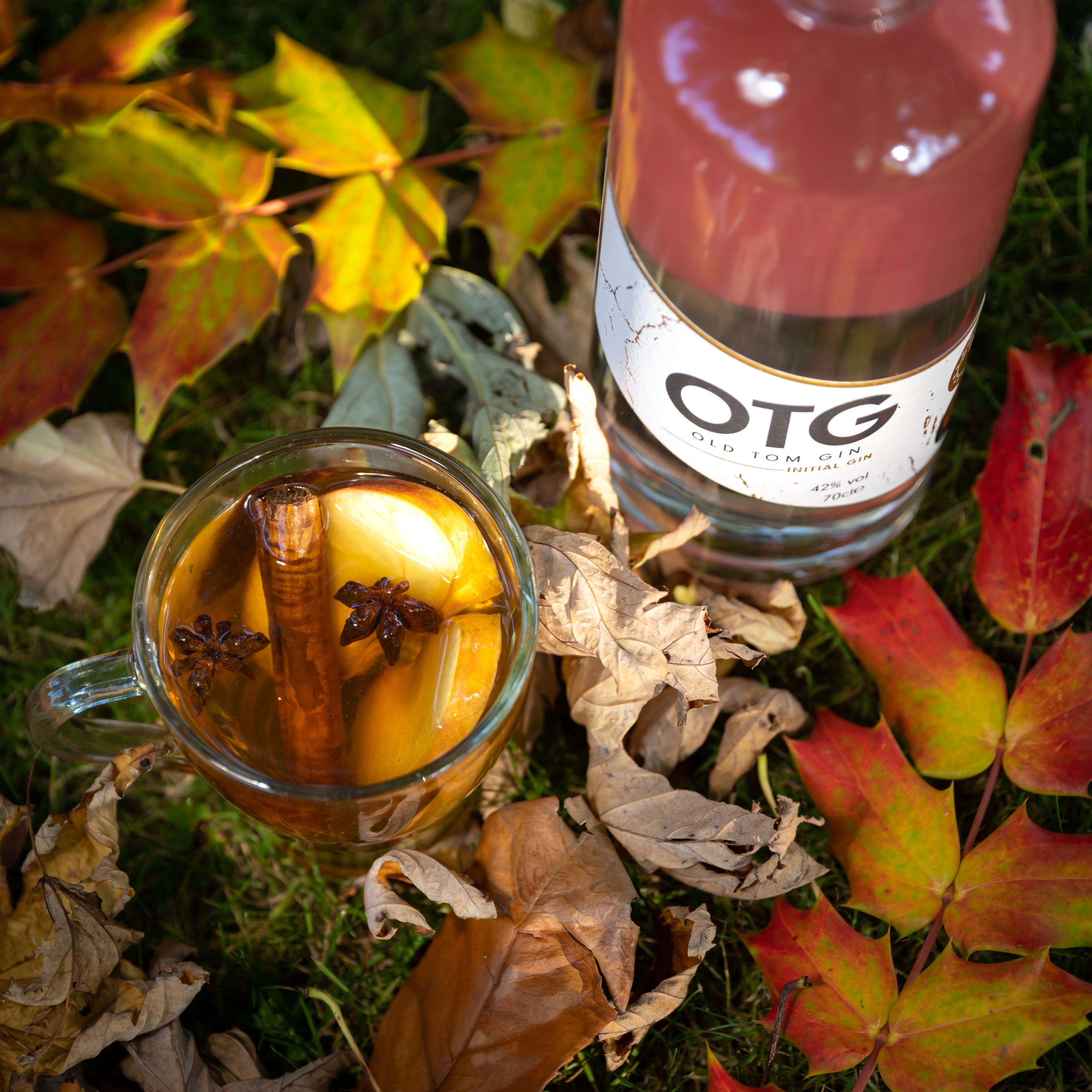 Hot Spiced Gin & Apple Punch