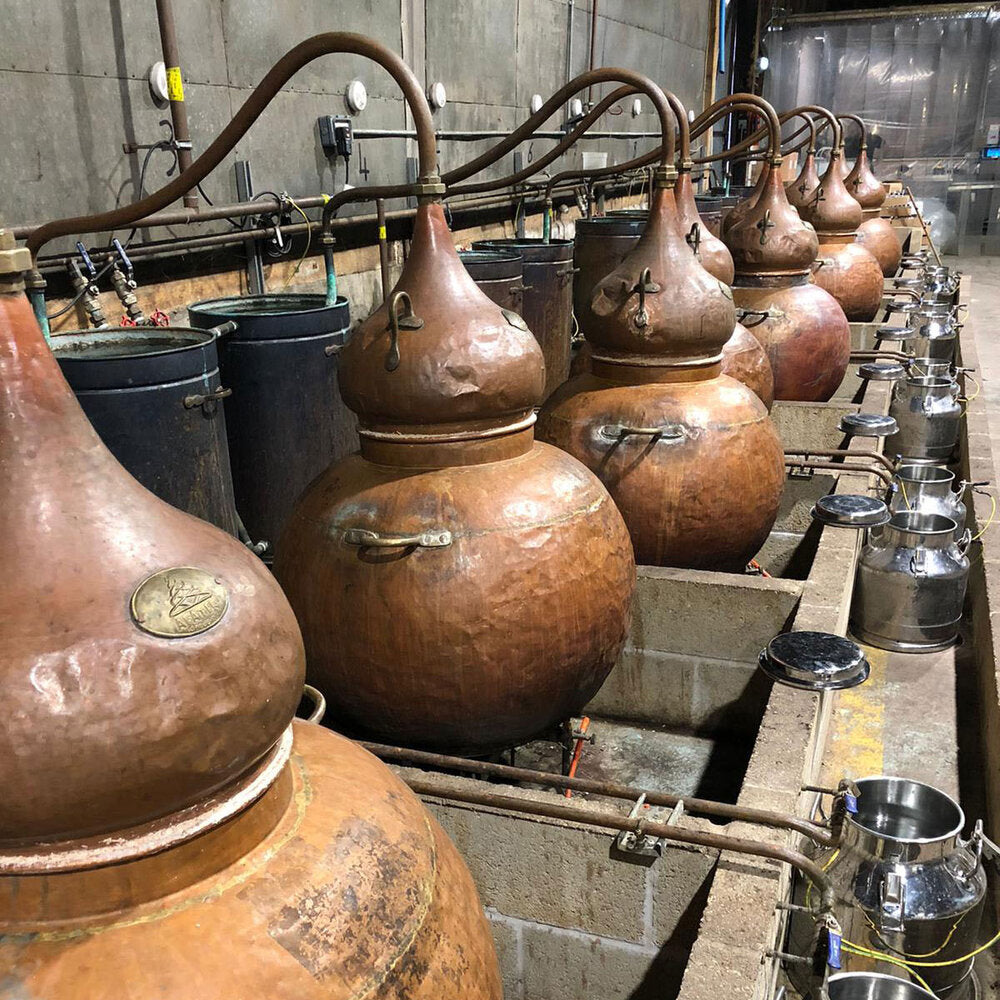 Honest Gin
